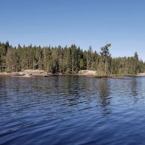 Meet your Posher, Penny